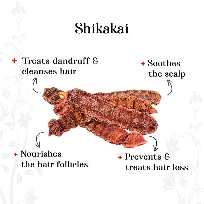 Rozhub Naturals Shikakai Herbal Powder (Acacia Concinna) - 100g - Rozhub Naturals